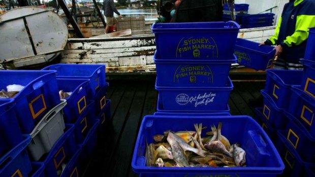 The NSW government plans to reduce restrictions on commercial fishing in several south coast lakes and estuaries.