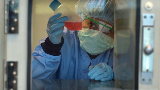 A scientist at the Melbourne Stem Cell Centre with a patient's liposuction sample.