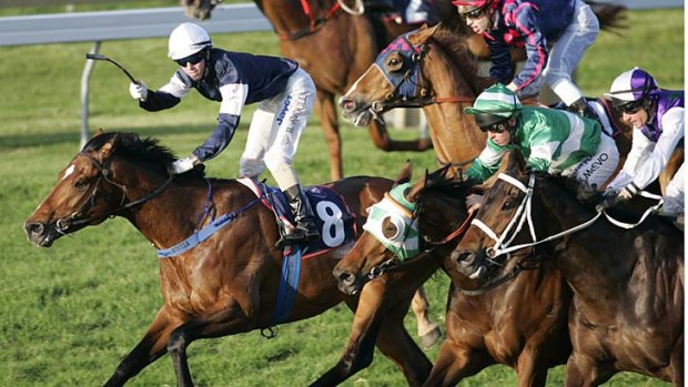 High hopes: Green Moon could miss this year's Caulfield Cup to tackle the Cox Plate.