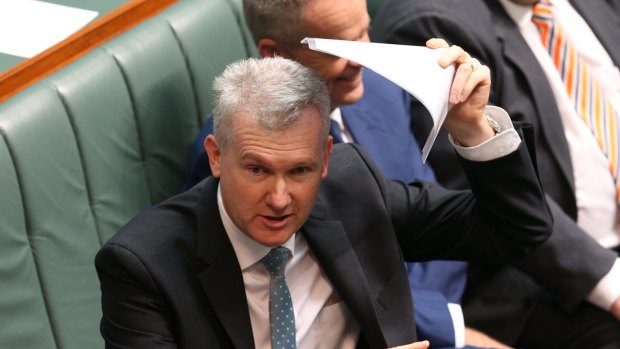 Tony Burke, Labor's citizenship spokesman, has also been critical of parts of the package.