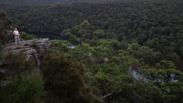 The Royal National Park has a fraction of the staff it once had to look after it.
