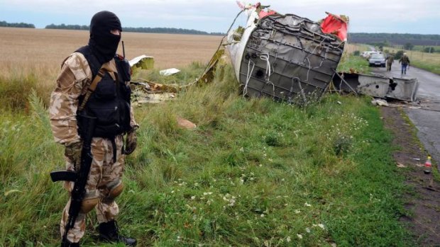 An armed pro-Russia militant stands guard at the MH17 crash site.