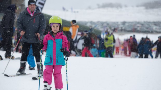 A young skier at Perisher on Saturday.