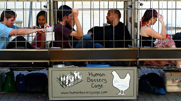 Animal rights activists drawing attention to the plight of battery hens.