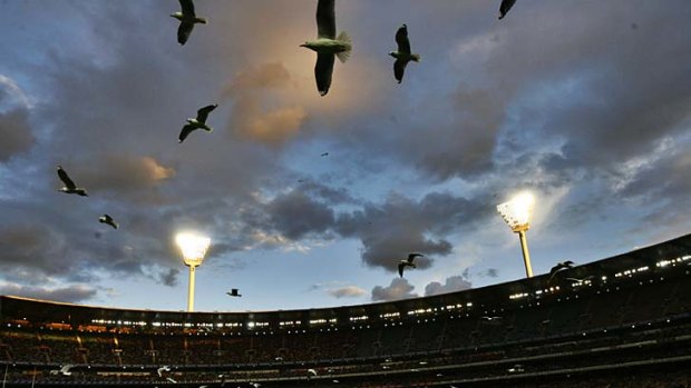 Home sweet home for the gulls.