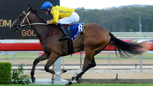 Positive riding &#8230; Peter Robl pilots Assail to an emphatic victory in the Wyong Magic Millions on Thursday.