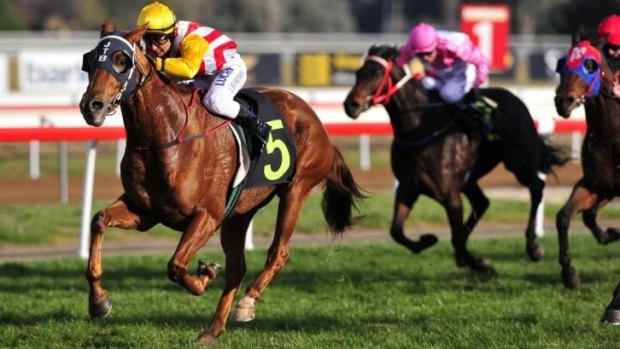 Jason Devrimol guides Ideal Position to victory at Canberra on Friday.