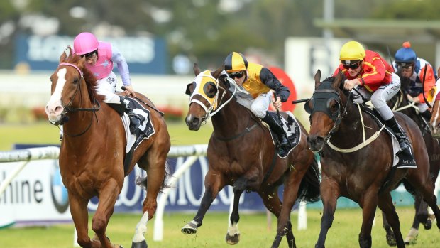 Right combination: Jockey Tim Clark steers Oxford Poet to victory in the Winter Stakes at Rosehill on Saturday.