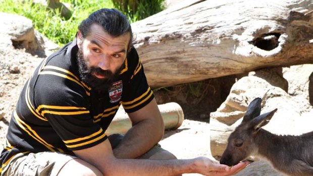 One hairy creature to another &#8230; Balmain signing Sebastien Chabal came face to face with a kangaroo at Taronga Zoo yesterday. We think this was as close as a rugby player has got to a marsupial since the Scott Fava quokka shocker of 2007, so it was good to see Chabal building some bridges.