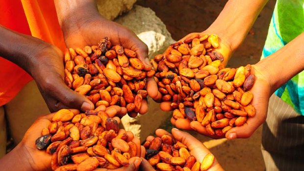 Certified ... cocoa beans grown by farmers who benefit from a Cadbury commitment.