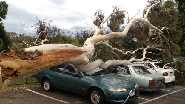 The owners of these damaged cars were teed off at Riverside Golf Club in Ascot Vale.