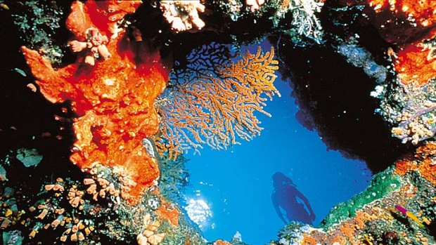 Tests have revealed high levels of toxins at the Great Barrier Reef.