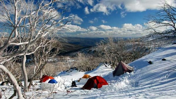 Back country survival ... tents pitched in the snow in Kosciuszko National Park.