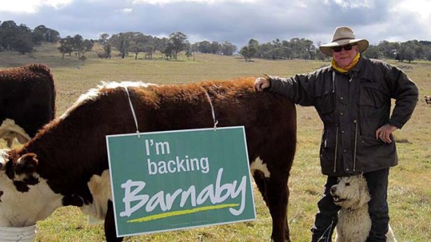 Even cows have jumped on the Barnaby Joyce campaign trail.