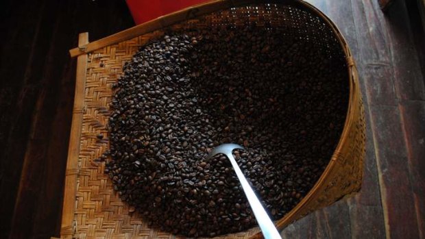 Roasted coffee beans at Hansa Coffee.