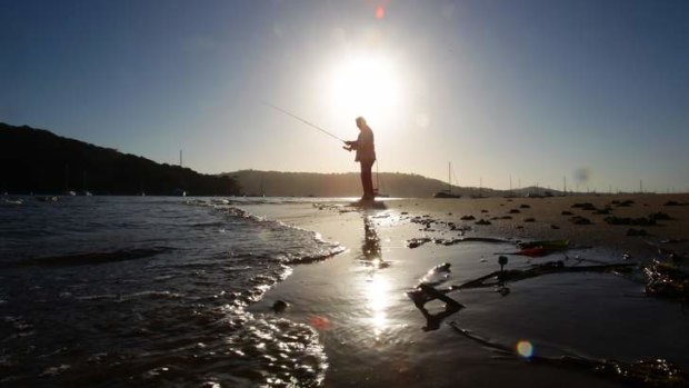 Not popular: The recent review of recreational fishing rules within Australia has upset members of the Australian Sportfishing Association.