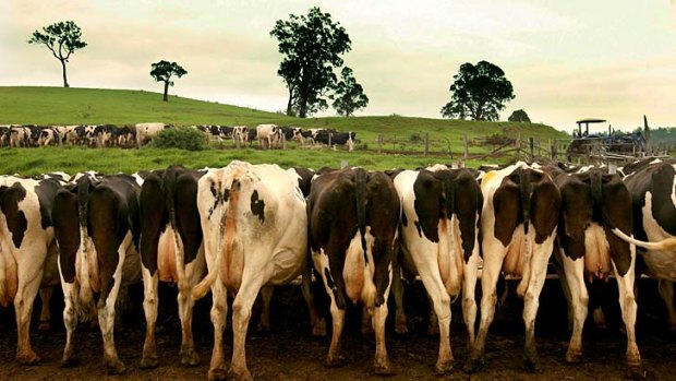 Milk processing company Fonterra has its eyes firmly on the prize.