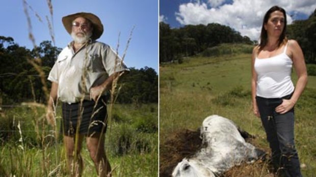 Mountain massacre ...   Jim Kelton (left) says the  brumbies, must be controlled; Sharyn Townsend (right), at the sight of a recent shooting, is appalled that as many as 200 horses have been killed.