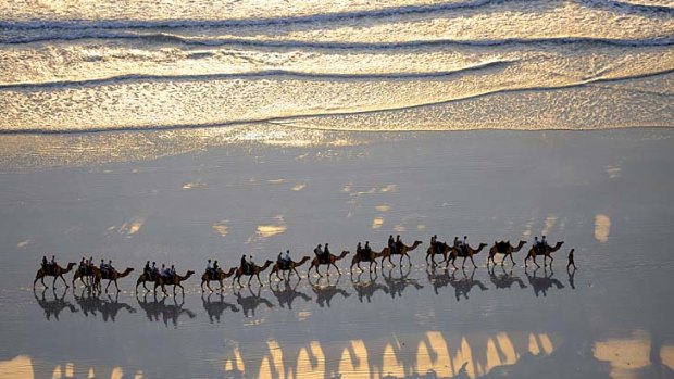 Camel riders enjoy views of the Indian Ocean at Broome.