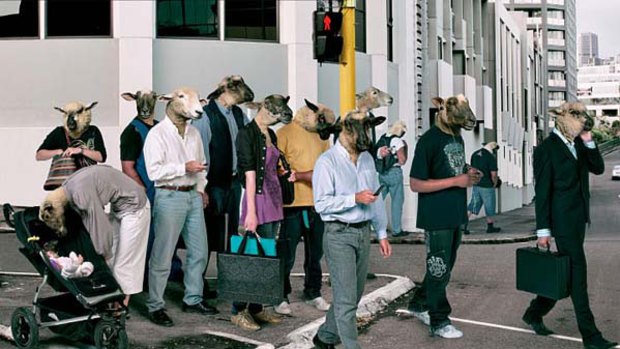 Lambs to slaughter ... the image used in the Pedestrian Council of Australia's campaign.