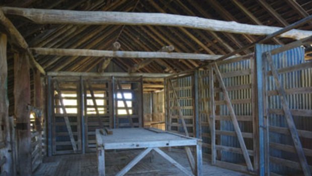 Treading the boards ... the shearing shed at Newstead, one of the oldest homesteads in the state's north.