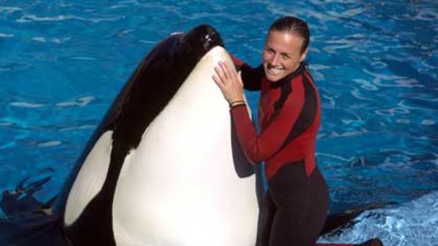Sea World trainer Dawn Brancheau was killed when one of the theme park's killer whales attacked.