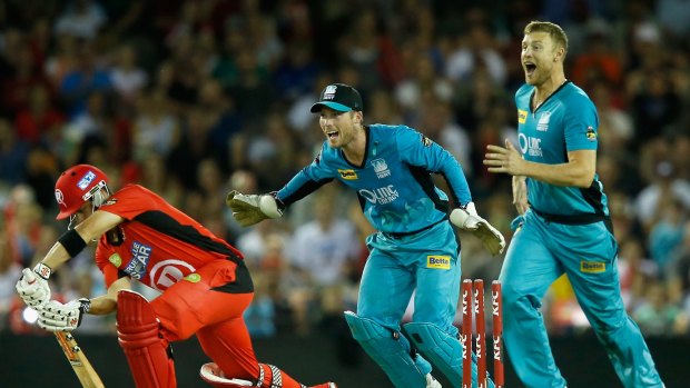 James Peirson and Andrew Flintoff of the Brisbane Heat celebrate as Callum Ferguson of the Melbourne Renegades is bowled by Stephen Parry.