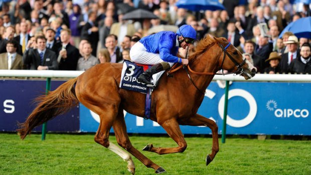 No.1 son: Dawn Approach storms home in the English 2000 Guineas at Newmarket.