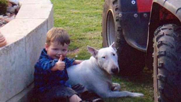 Diesel the bull terrier, pictured with his owner's grandson, Cohen. The dog attacked five children on the weekend before being put down.