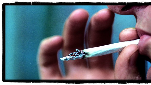 Mind the skunk weed - it's risky, say health experts.
