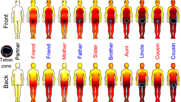 A social guide to touching created by researchers.