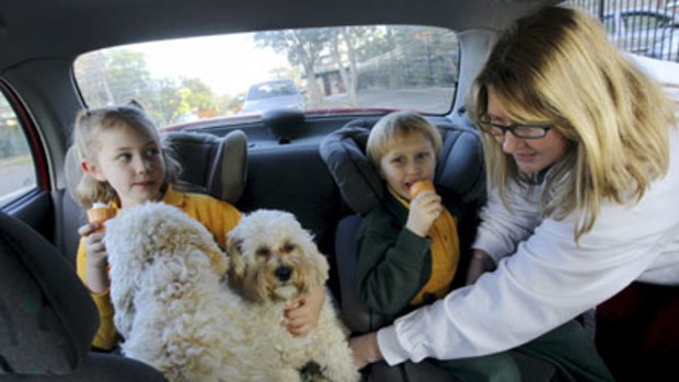 Bought new booster seat for son Ryan ... Linda Quinn with her children, Laura, 7, and Ryan, 5 (and poodles Flynn and Poppy). The new laws were introduced in March and are enforceable from yesterday.