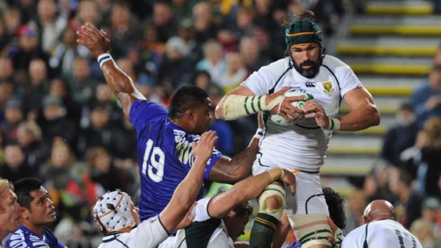 Expected to lift &#8230; lock Victor Matfield says the Springboks are rising.