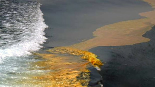 Indonesia claims oil from the spill off the WA coast has reached their shores.