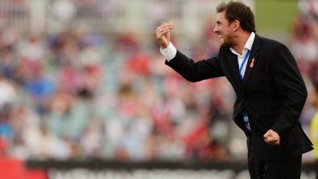 Not letting up: Wanderers coach Tony Popovic.