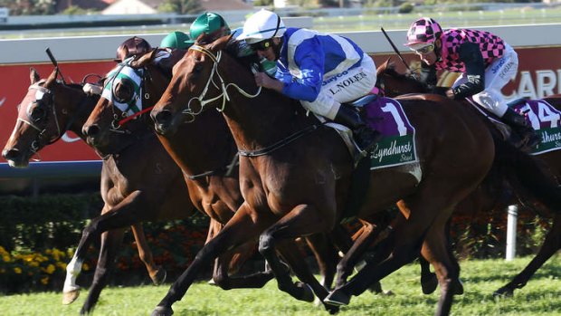 Star filly: Dear Demi fought off her rivals.