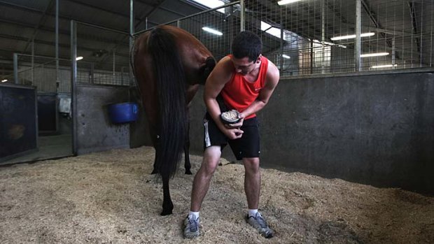 Feet up for the holiday? Not for Ben Bloore, who worked as usual on Christmas Day at Chris Waller's stables at Rosehill racecourse.