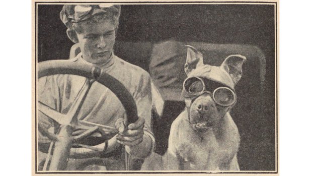 Clive Birtles driving with his dog Wowser.
