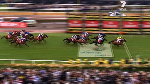 The finish of the 2011 Melbourne Cup. Very few of the pictured horses were Australian-bred.