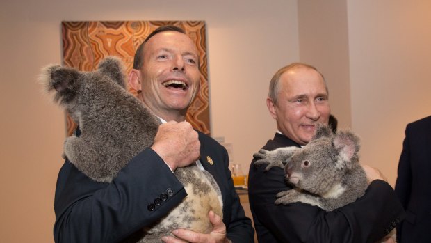 Cuddling koalas, not shirt-fronting ... Australia's Prime Minister Tony Abbott and Russia's President Vladimir Putin cuddle koalas before the start of the first G20 meeting on November 15, 2014 in Brisbane.