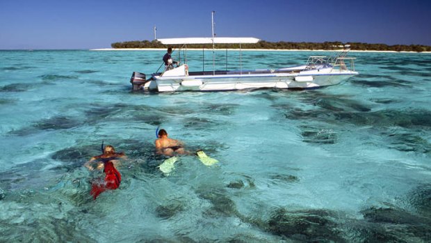 Snorkeling at Heron Island.