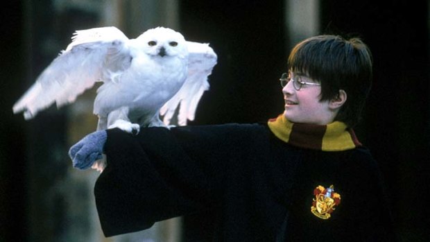 Expelled ... the Harry Potter series has been banned from Medowie Christian School's library.