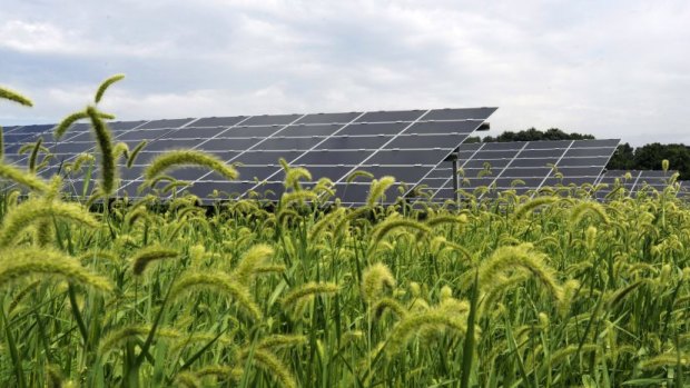 A First Solar farm of more than 26,000 panels in Pennsylvania, USA.