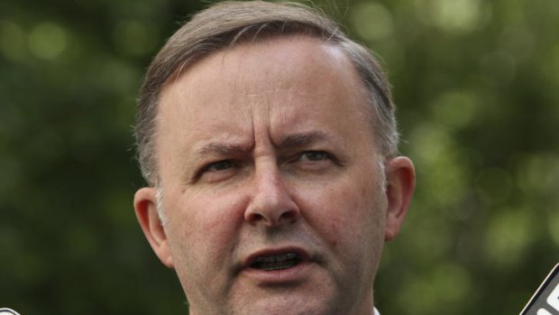 Minister for Infrastructure Anthony Albanese.