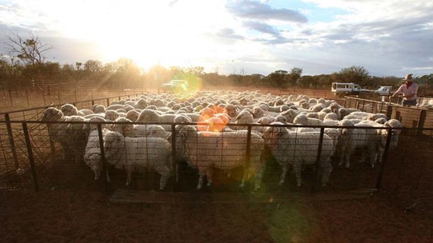 "The critics say, if foreigners own farms then wool, wheat and meat might go overseas ... it overlooks the fact that we produce enough to feed ourselves several times over."