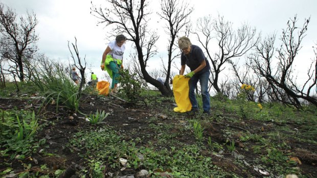 Volunteers spend a day clearing wasteland.