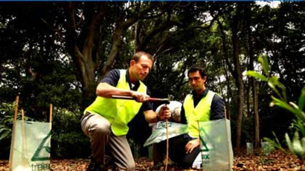 Opposition Leader Tony Abbott (left) hammers in a post for a shield with Edwardo Gallo 29 (right) a volunteer with Conservation Volunteers Australia moments after planting a plant at the Kamay Botany Bay Park, Kurnell, NSW.
