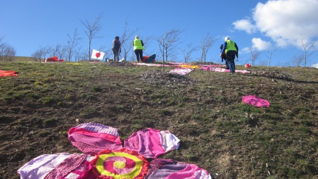 Whimsical knitted cherry blossoms are dotted around the National Arboretum as part of the Warm Trees project.