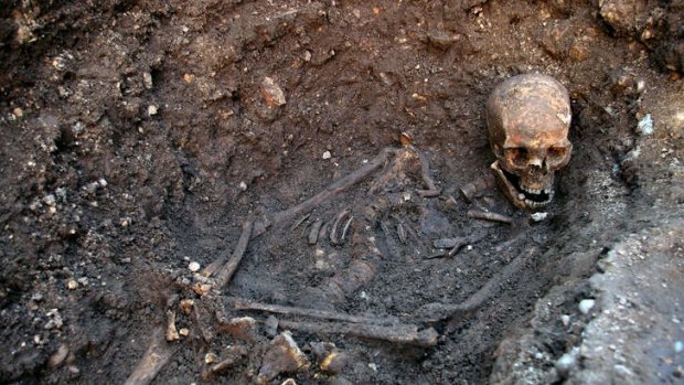 The skeleton of king Richard III found at the Grey Friars Church excavation site in Leicester. Scientists have discovered that the hunchback king was infected with intestinal parasites.
