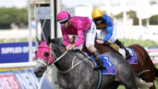 Elusive: a group 1 win is still missing from Catkins' resume.